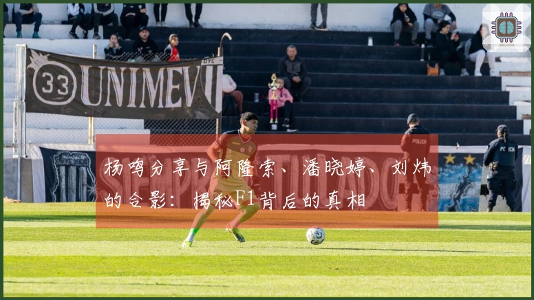 杨鸣分享与阿隆索、潘晓婷、刘炜的合影：揭秘F1背后的真相